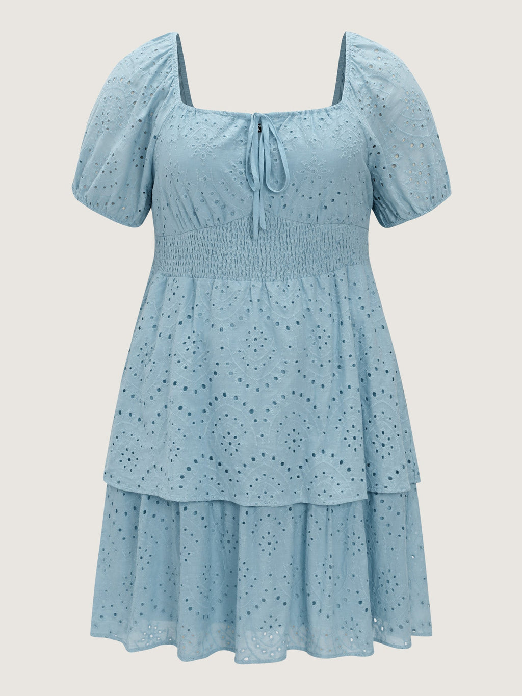 Eyelet Embroidered Cinched Waist Mini Dress