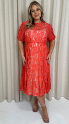 CurveWow Lace Midi Skater Dress Coral